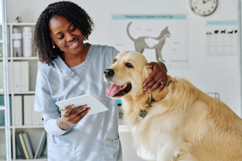 Cardiologia para Cachorro Telefone Phoc II - Cardiologia para Pet