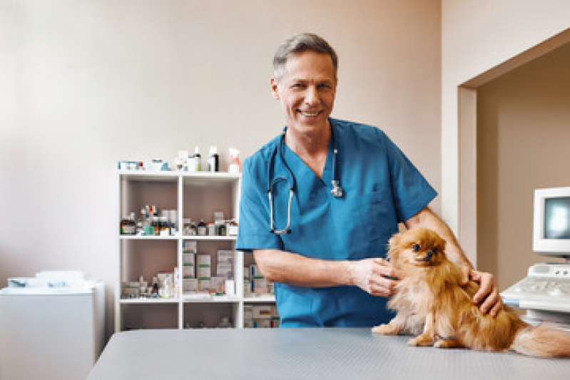 Cardiologia para Gatos Contato Caminho Árvores - Cardiologista para Pet Cães