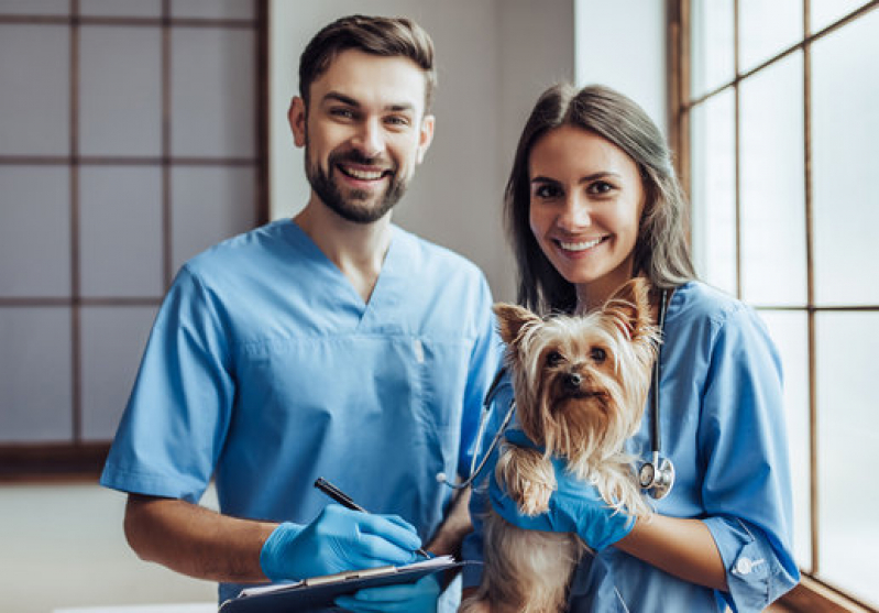 Cardiologista para Animais Domestico Telefone Encontro Águas - Cardiologia para Cães