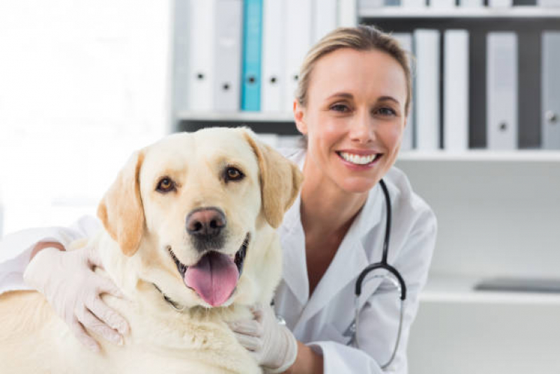 Clínica Que Faz Exame de Sangue Veterinário Miragem - Raio X para Cachorro