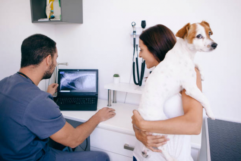 Clínica Que Faz Ultrassom Veterinário Vilaa da Paz - Raio X para Cachorro