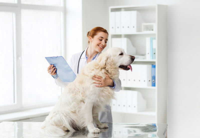 Clínica Veterinária para Cachorro Contato Encontro Águas - Clínica Veterinária Cardiologia