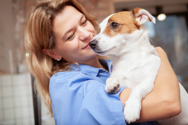 Consulta Veterinária para Gato Marcar Encontro Águas - Consulta Veterinária para Cachorro