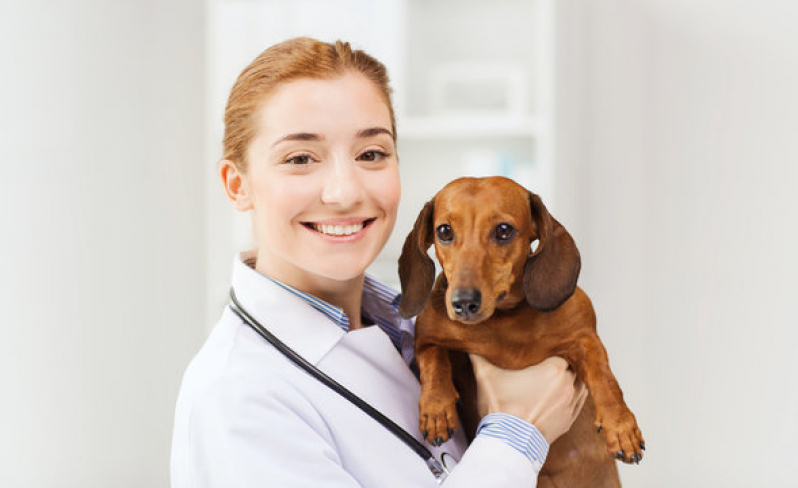 Contato de Cardiologista para Animais Caji -vida Nova - Cardiologista Pet