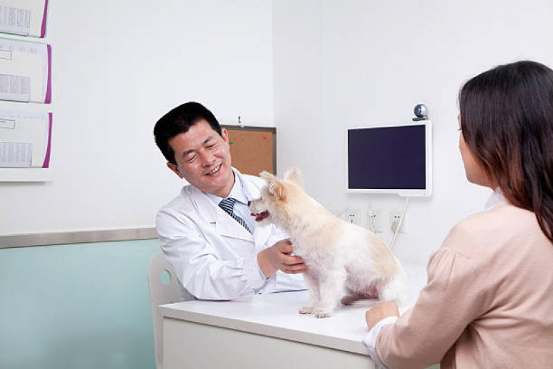Contato de Veterinário para Cachorros Itaparica - Veterinário Especializado em Felinos