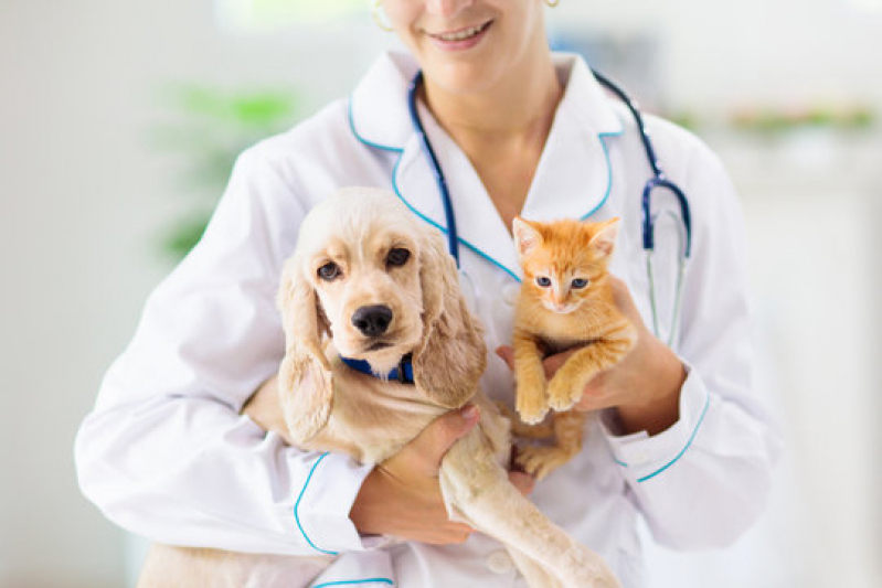 Endereço de Dermatologia em Cães e Gatos Caji Caixa Dágua - Dermatologista Felino