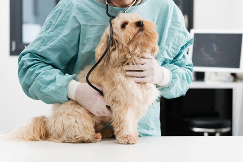 Endereço de Dermatologia em Pequenos Animais Capela Areia Branca - Dermatologista de Cães