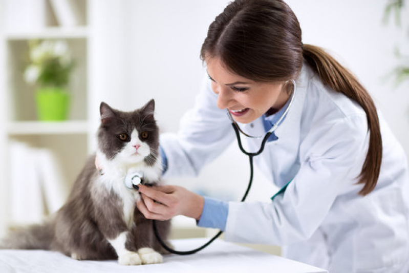 Endereço de Dermatologia para Cachorro de Gato Alphaville - Dermatologista para Cães