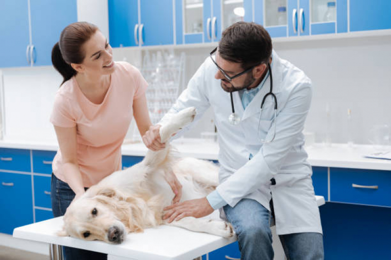 Exame Laboratorial Veterinário Agendar Pintagueiras - Raio X para Cachorro