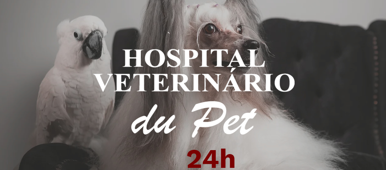 Pet Shop 24 Horas Perto de Mim Endereço Cagi Caixa D Agência - Pet Shop  Cães e Gatos - Hospital Veterinário Du Pet Clínica Veterinária 24 Horas em  Lauro de Freitas