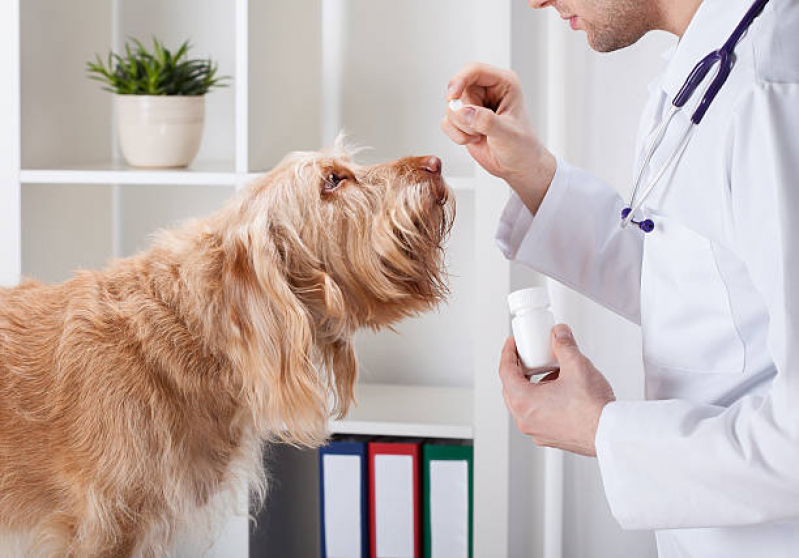Remédio de Carrapato para Cachorro Preço Parafuso - Remédio para Carrapato Cachorros