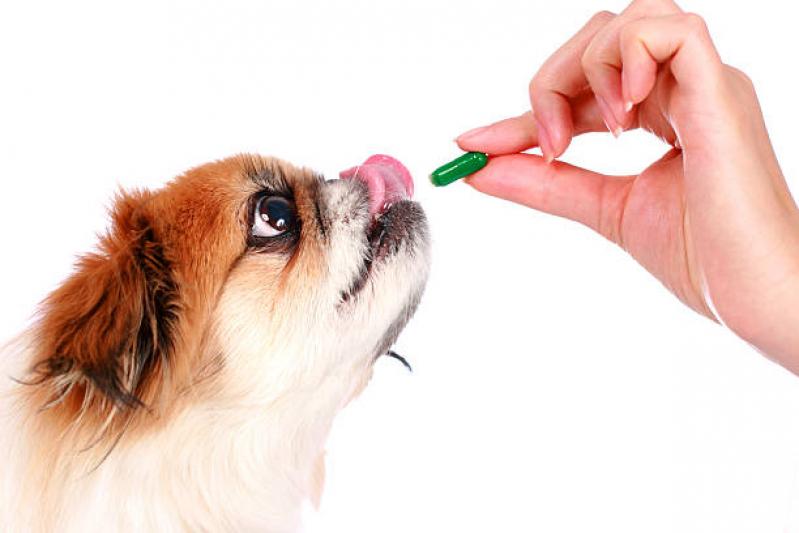 Remédio de Carrapato para Cachorro Verde Horizonte - Remédio Carrapato Cachorro