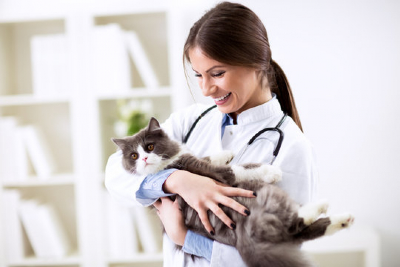 Telefone de Clínica Veterinária Ortopedia Alphaville - Clínica Veterinária para Gato