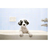 banho e tosa em cães preço Jaua