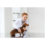 cardiologista para cães contato Arembepe