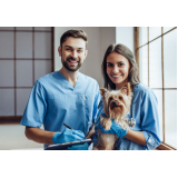 clínica de cachorros 24 horas contato Araqui