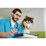 clínica que faz exame veterinário Alphaville