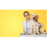 clínica que faz internação para cachorro Catu de Abrantes