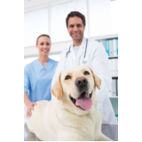 clínica que faz raio x para cachorro Gleba H
