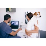 clínica que faz ultrassom veterinário Jardim Belohorizonte