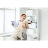 clínica veterinária para cachorro contato Santos Dumont