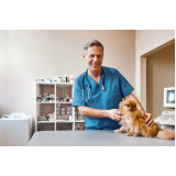 clínica veterinária para gatos idosos contato Novo Horizonte