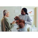 consulta com veterinário marcar Vida Nova