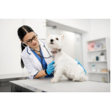contato de dermatologista para cães e gatos Gleba B