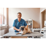 dermatologista para cães e gatos telefone Lauro de Freitas