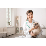 dermatologista para gatos e cachorro telefone Jardim Centenário