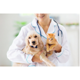 endereço de dermatologia em cães e gatos Parque Florestal
