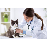 endereço de dermatologia para cachorro de gato Pintangueiras