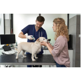 endereço de hospital 24 horas para cachorro Caji Vida Nova