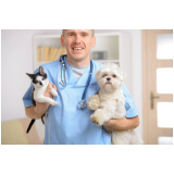 endocrinologia veterinária marcar Aracui