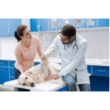 exame laboratorial veterinário agendar Parafuso