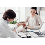 fisioterapia para gatos com problema renal preço Alphaville II