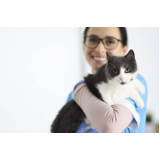 fisioterapia para gatos paraplégicos preço Vilas Atlântico