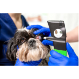 oftalmologia veterinária agendar Gleba B