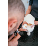 oftalmologista para animais contato Jambeiro