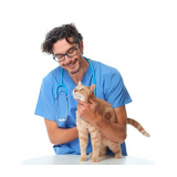 onde agendar consulta veterinária para gatos Cagi Caixa D Agência