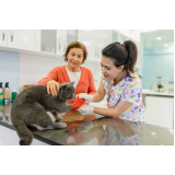 ortopedista para gatos contato Estrada Coco
