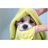 preço de banho e tosa em cães Vila Atlântico