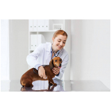 remédio para pulga de cachorros preço Gleba B
