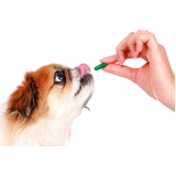 remédio pulga e carrapato cachorro Phoc II