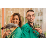 telefone de veterinário de aves silvestres Jardim Ipitanga