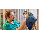 veterinário especialista em animais silvestres marcar Vila de Atlântico