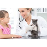 veterinário especializado em felinos agendar Buraquinho