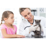 veterinário especializado em felinos Vilas de Atlântico