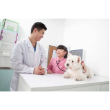veterinário para cachorros agendar Arembepe