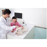veterinário para cachorros Vilas Atlântico